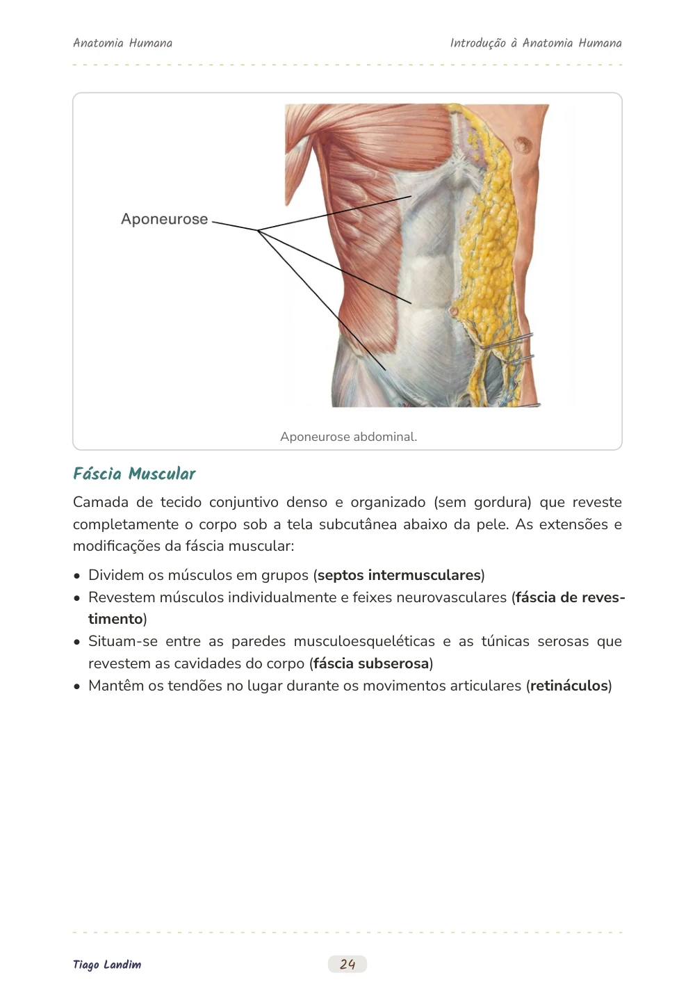 Introdução à Anatomia Humana