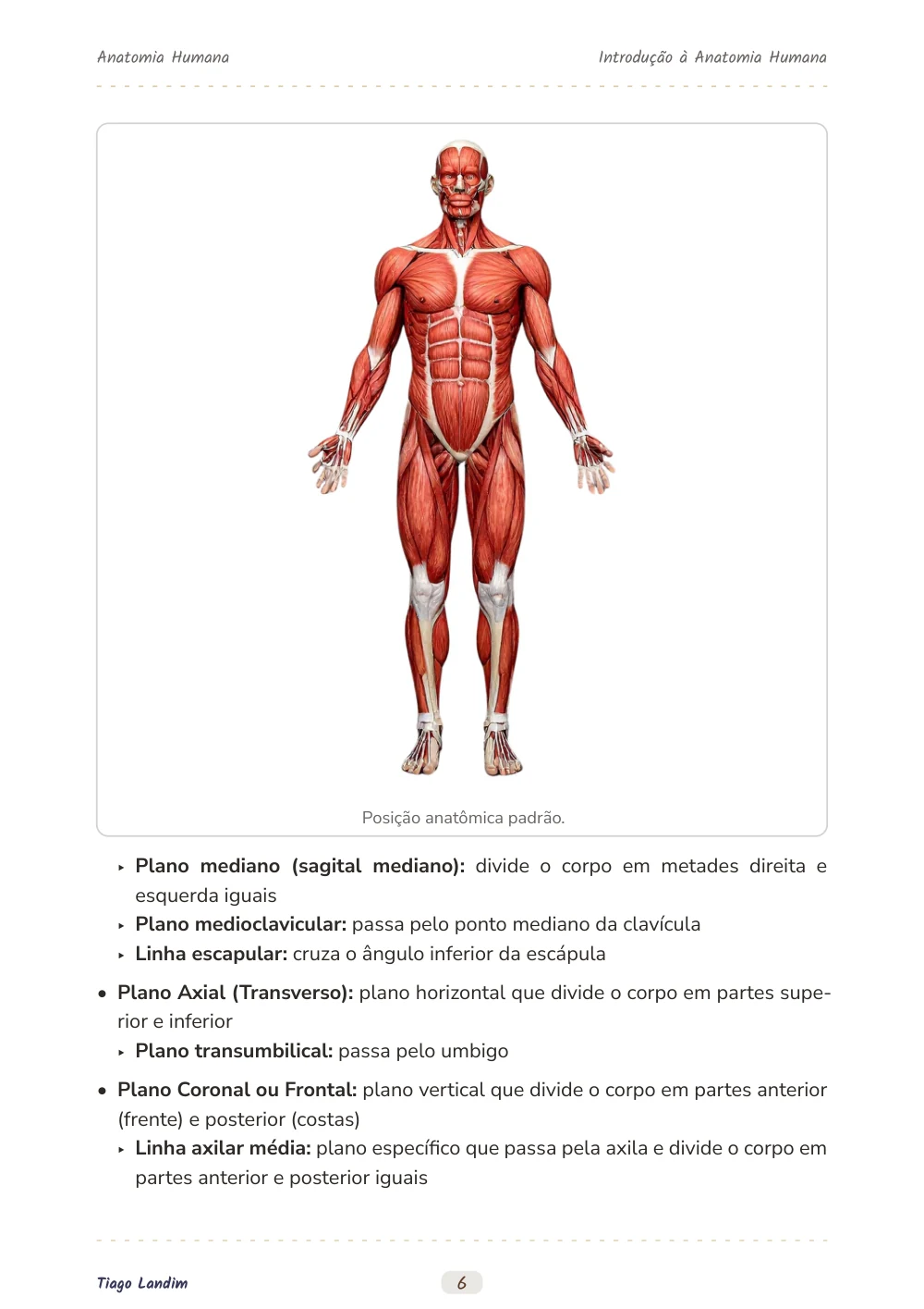Introdução à Anatomia Humana