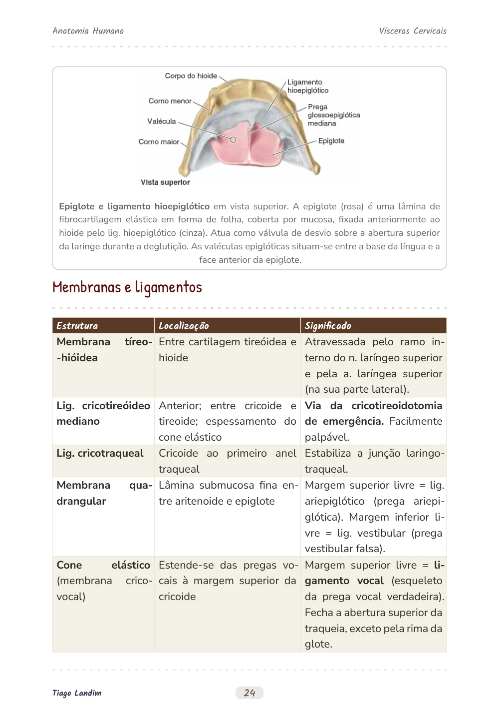 Vísceras Cervicais
