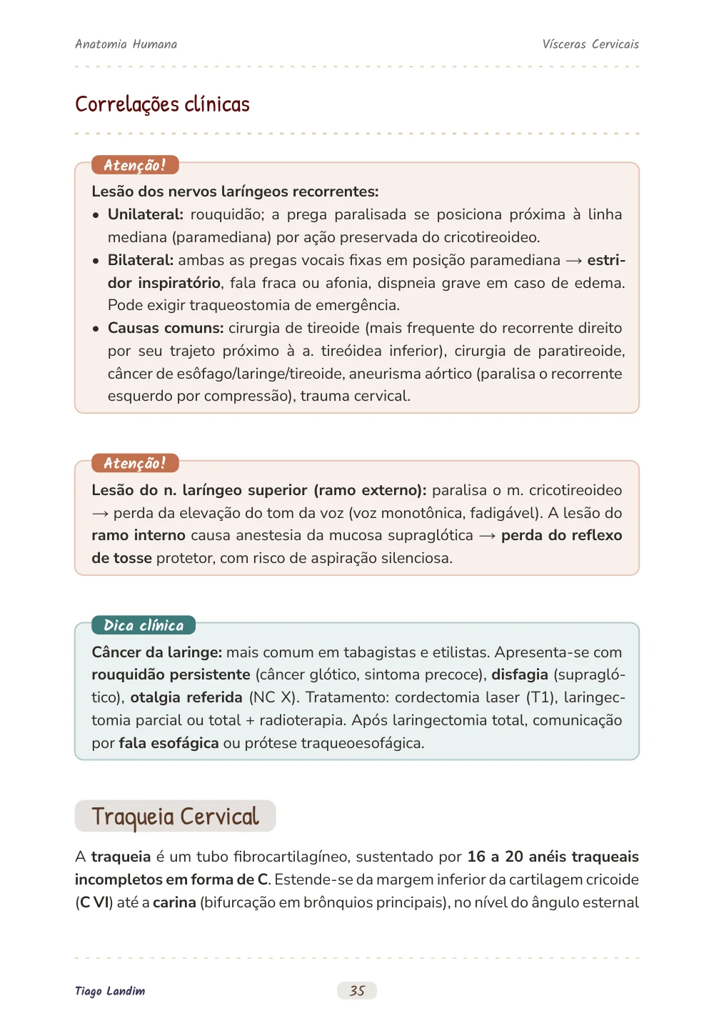 Vísceras Cervicais