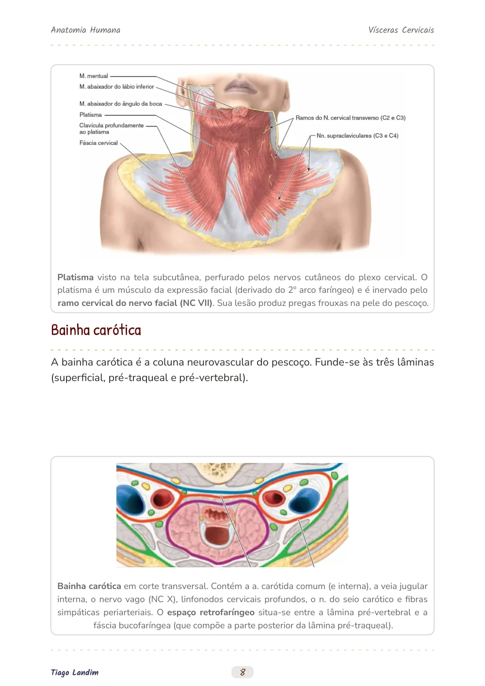 Vísceras Cervicais