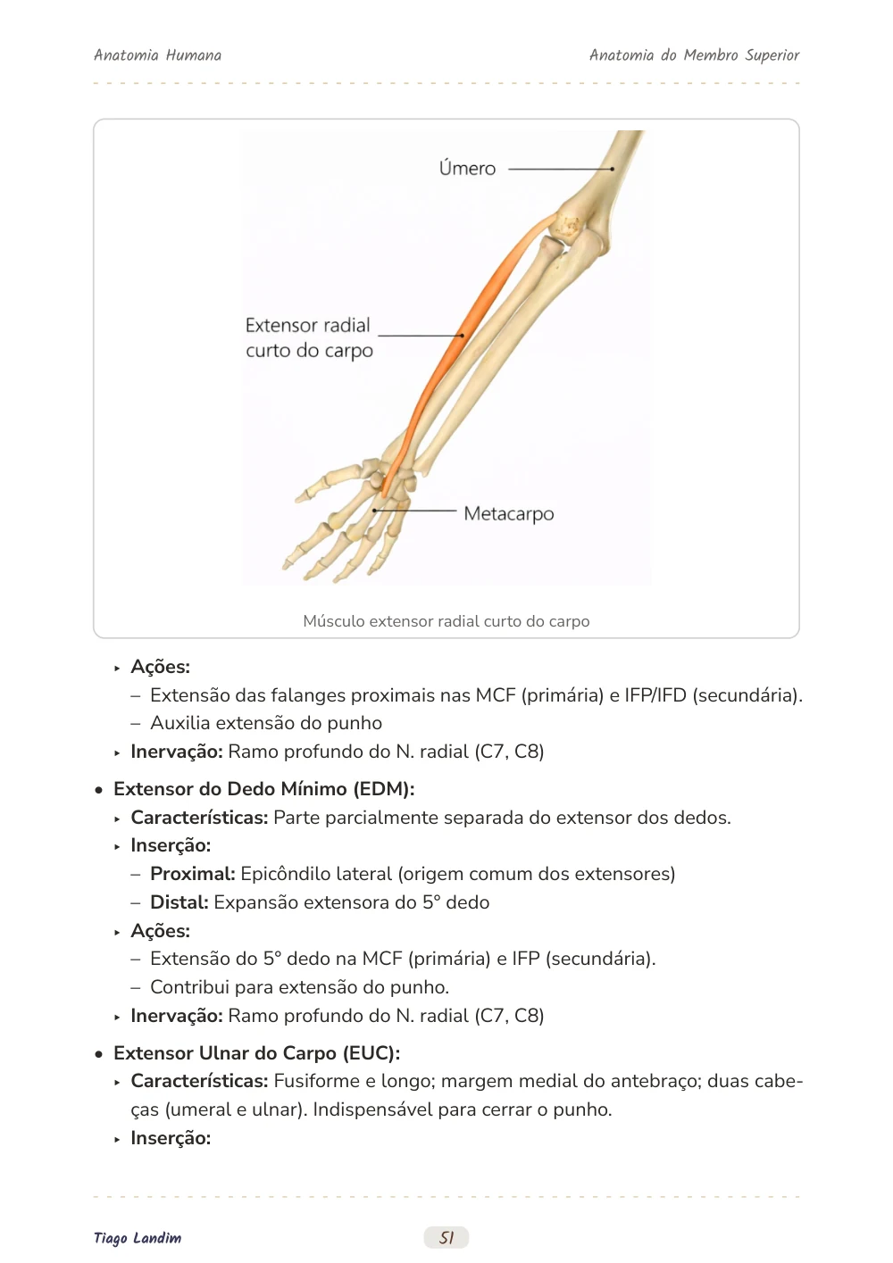 Anatomia do Membro Superior