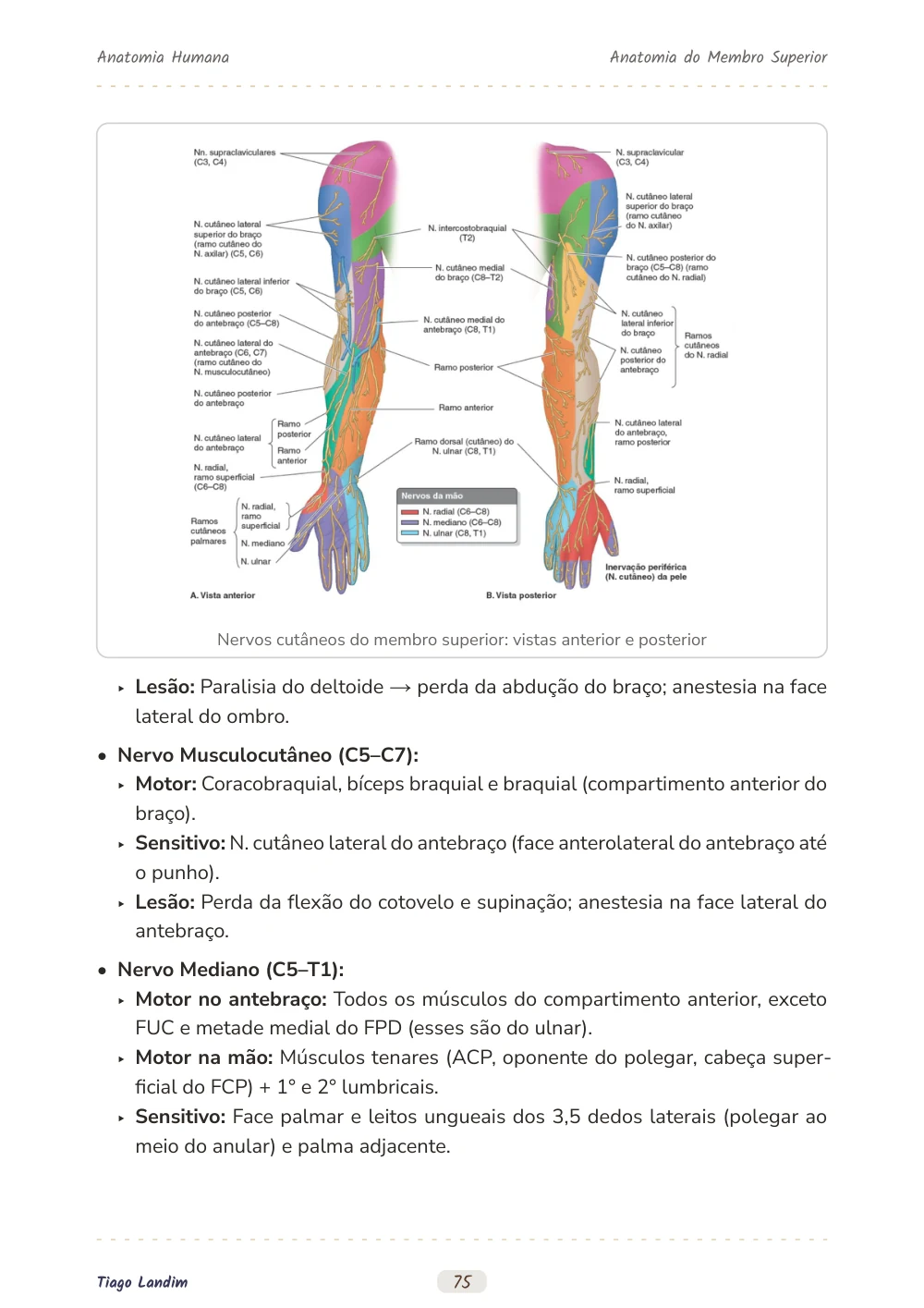 Anatomia do Membro Superior