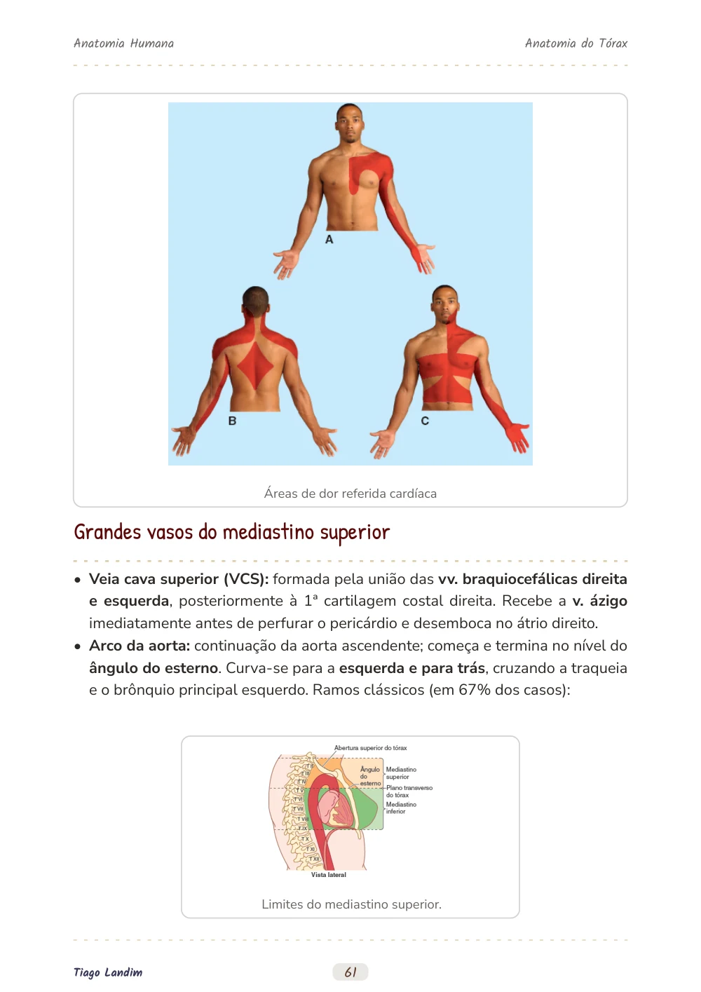 Anatomia do Tórax