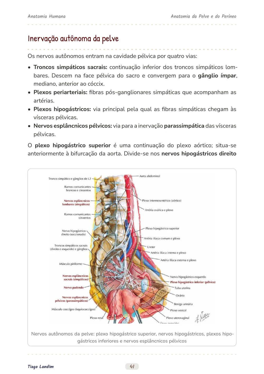 Anatomia da Pelve e do Períneo