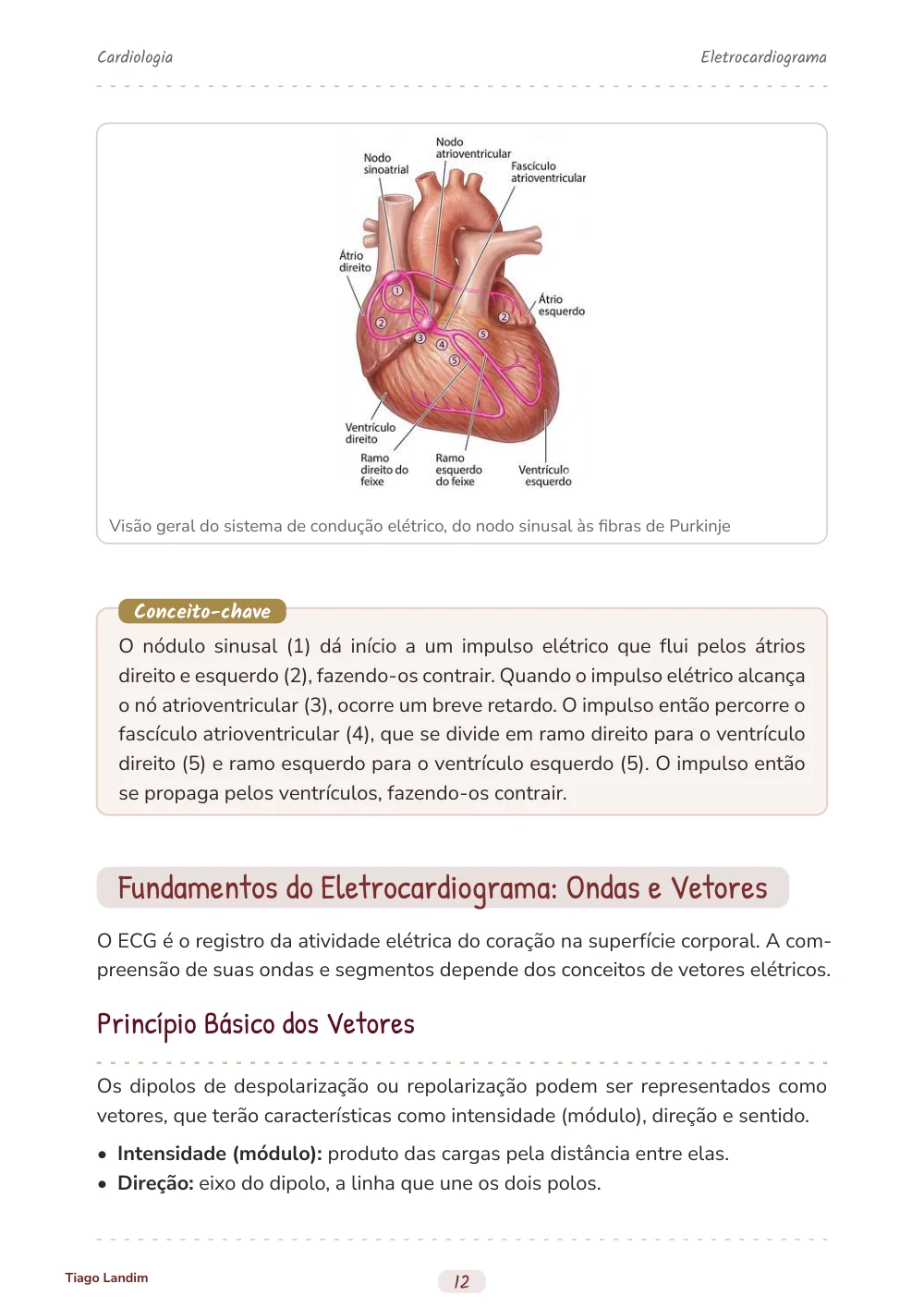 Eletrocardiograma