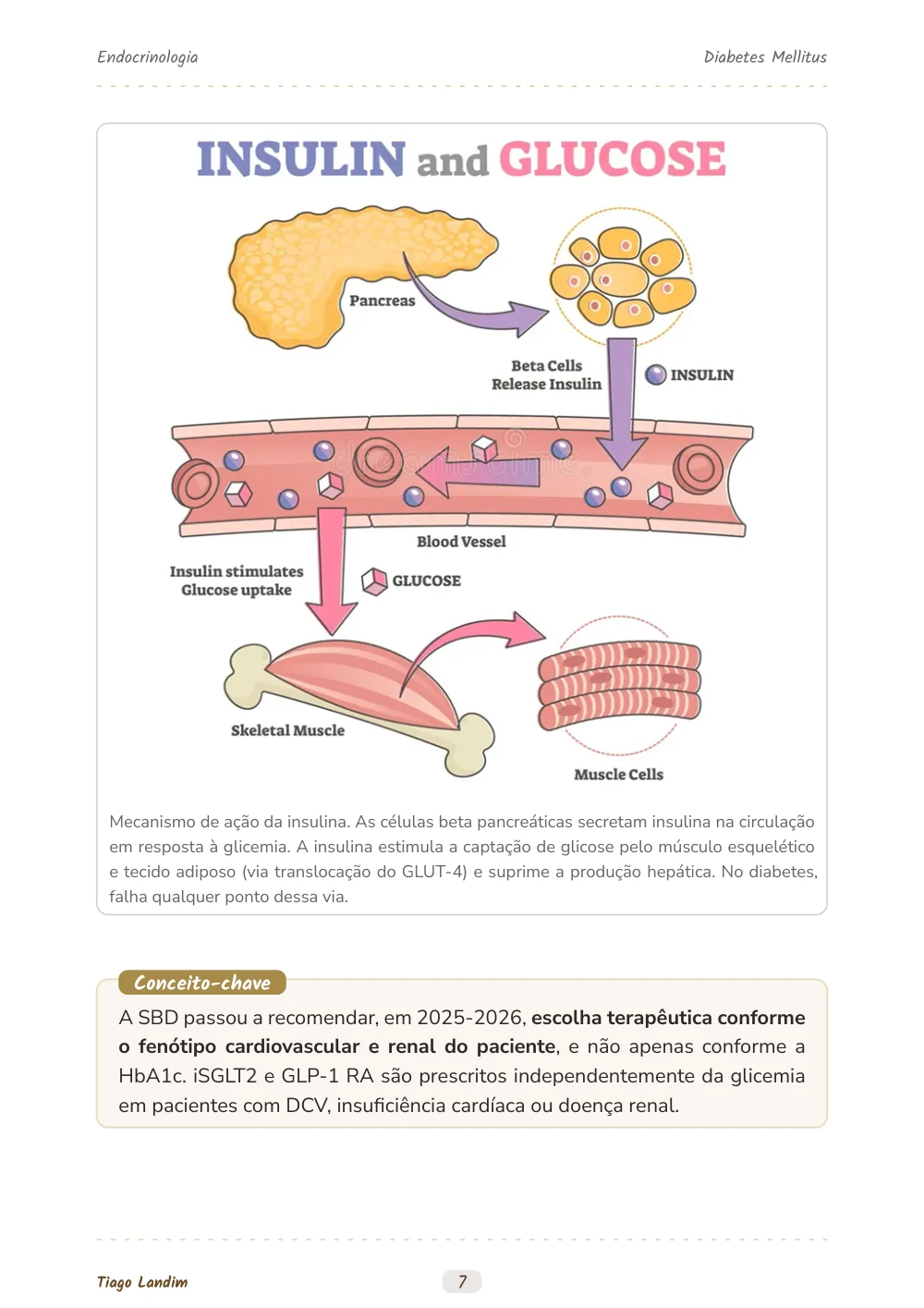 Diabetes Mellitus