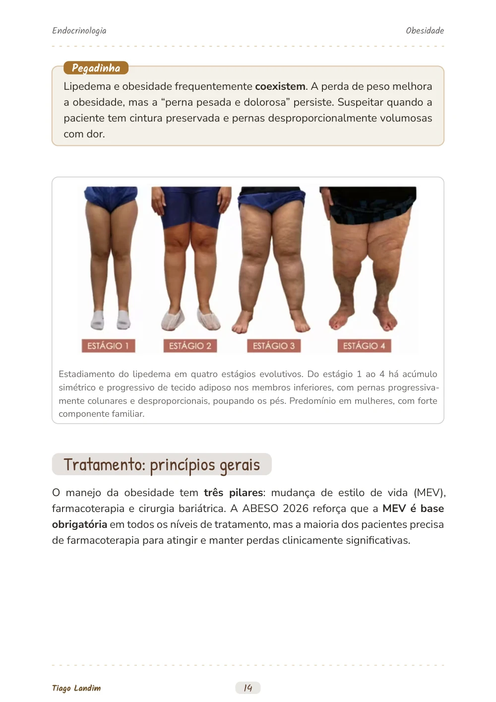 Obesidade