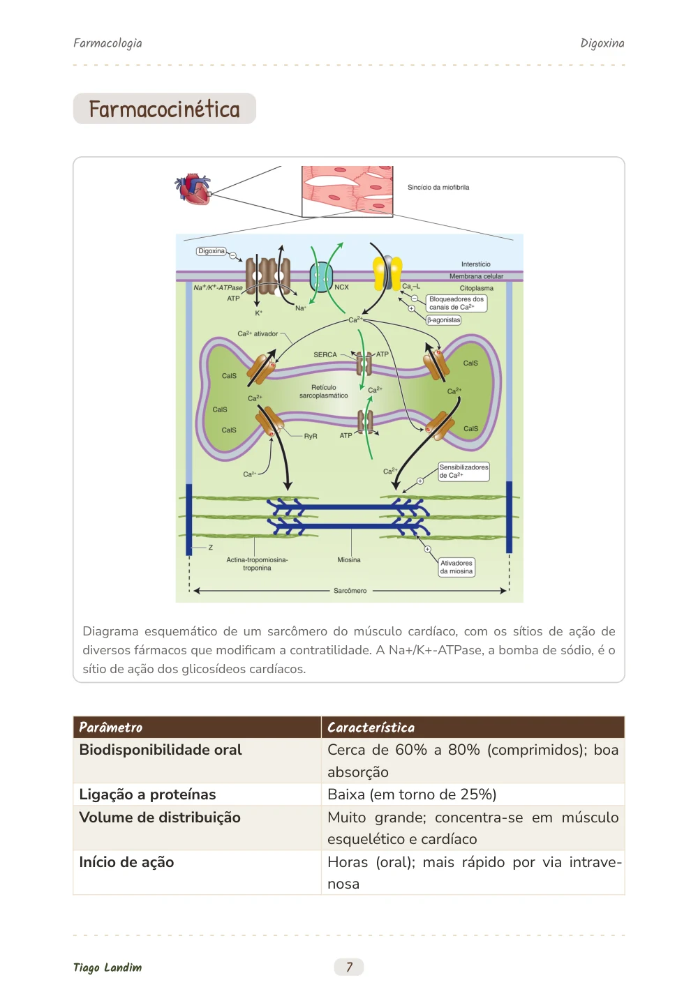 Digoxina