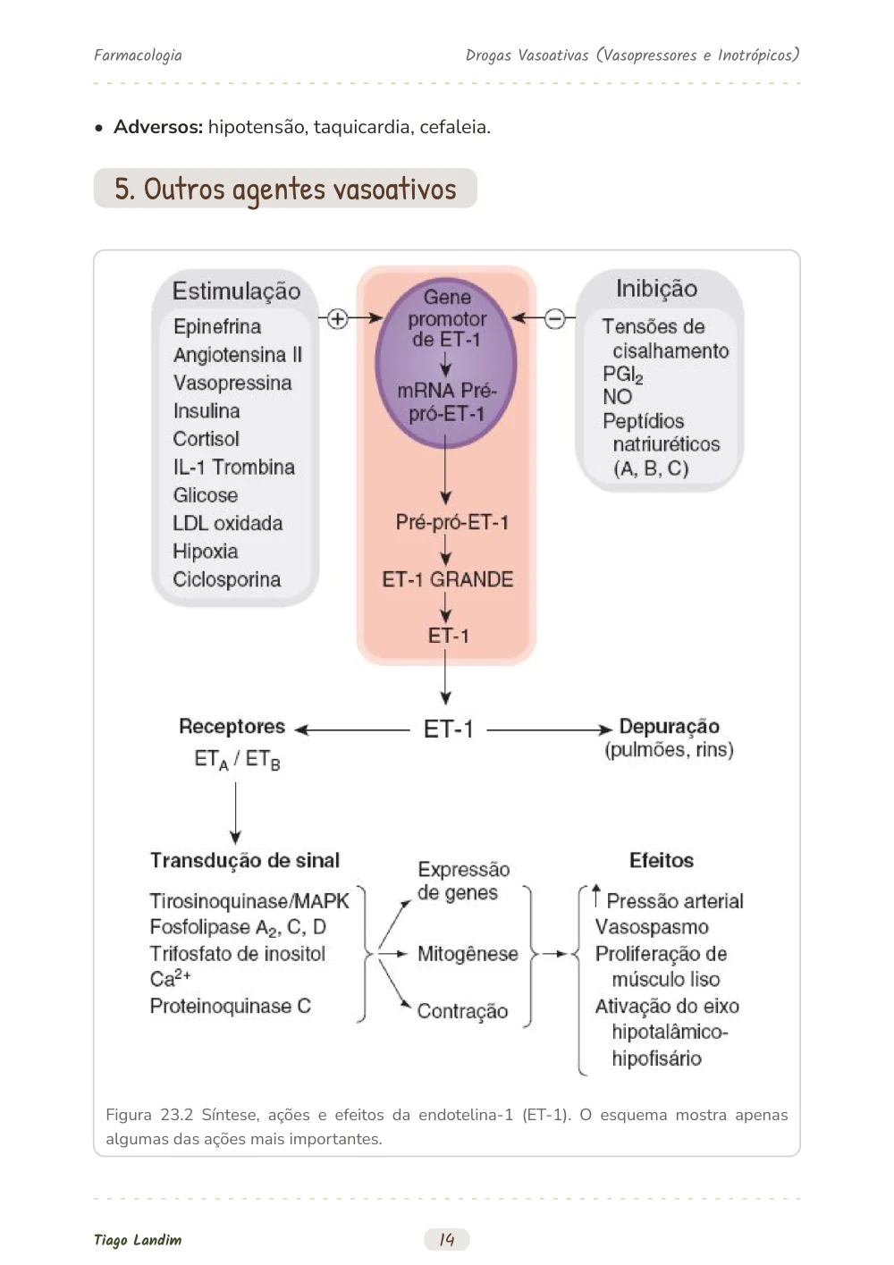 Drogas Vasoativas (Vasopressores e Inotrópicos)