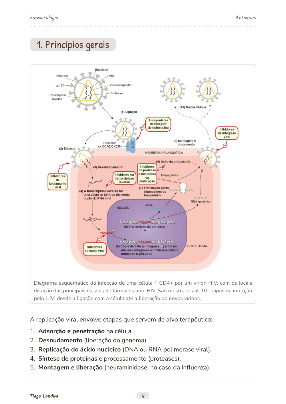 Antivirais