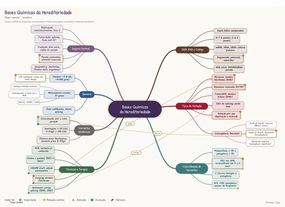 Mapa Mental - Bases Químicas da Hereditariedade