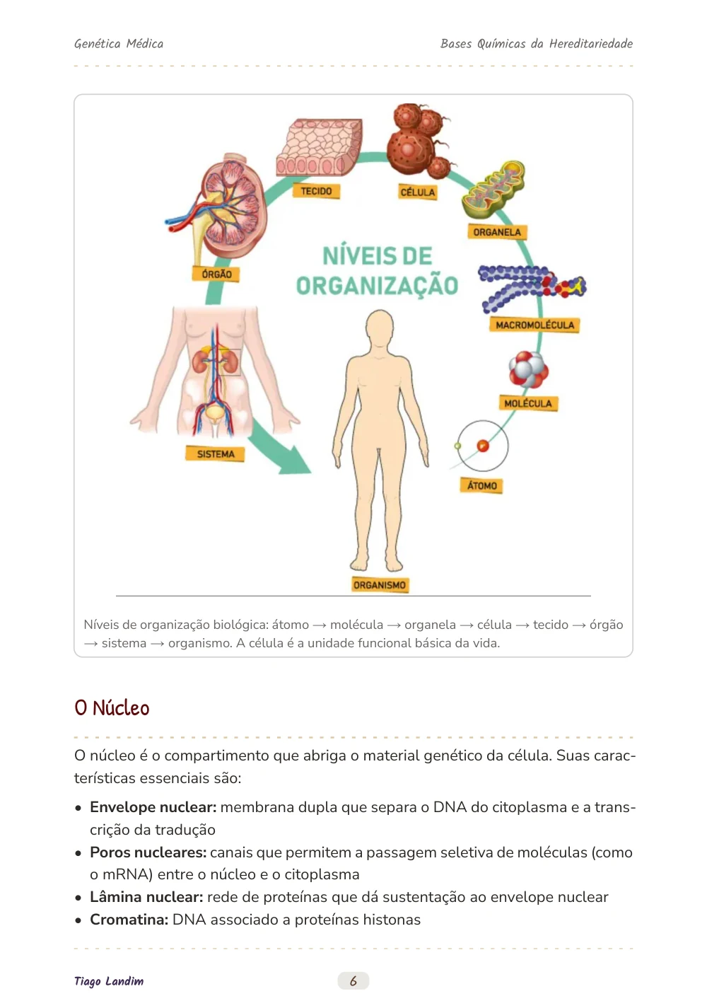 Bases Químicas da Hereditariedade