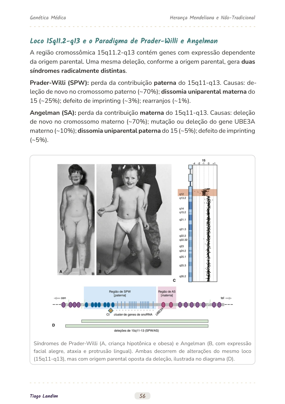 Herança Mendeliana e Não-Tradicional