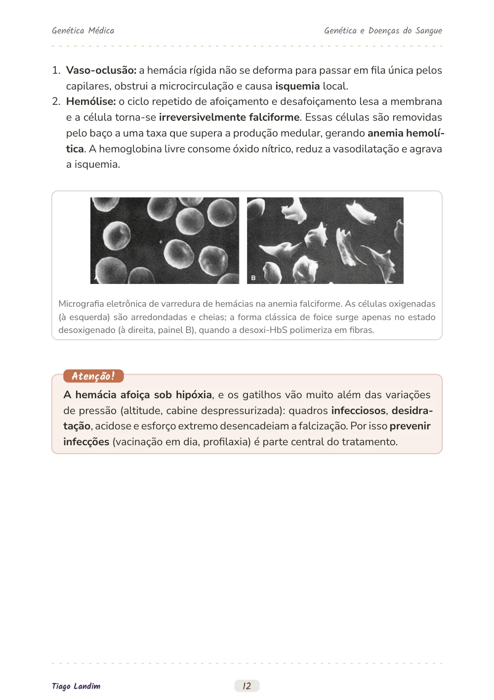 Genética e Doenças do Sangue