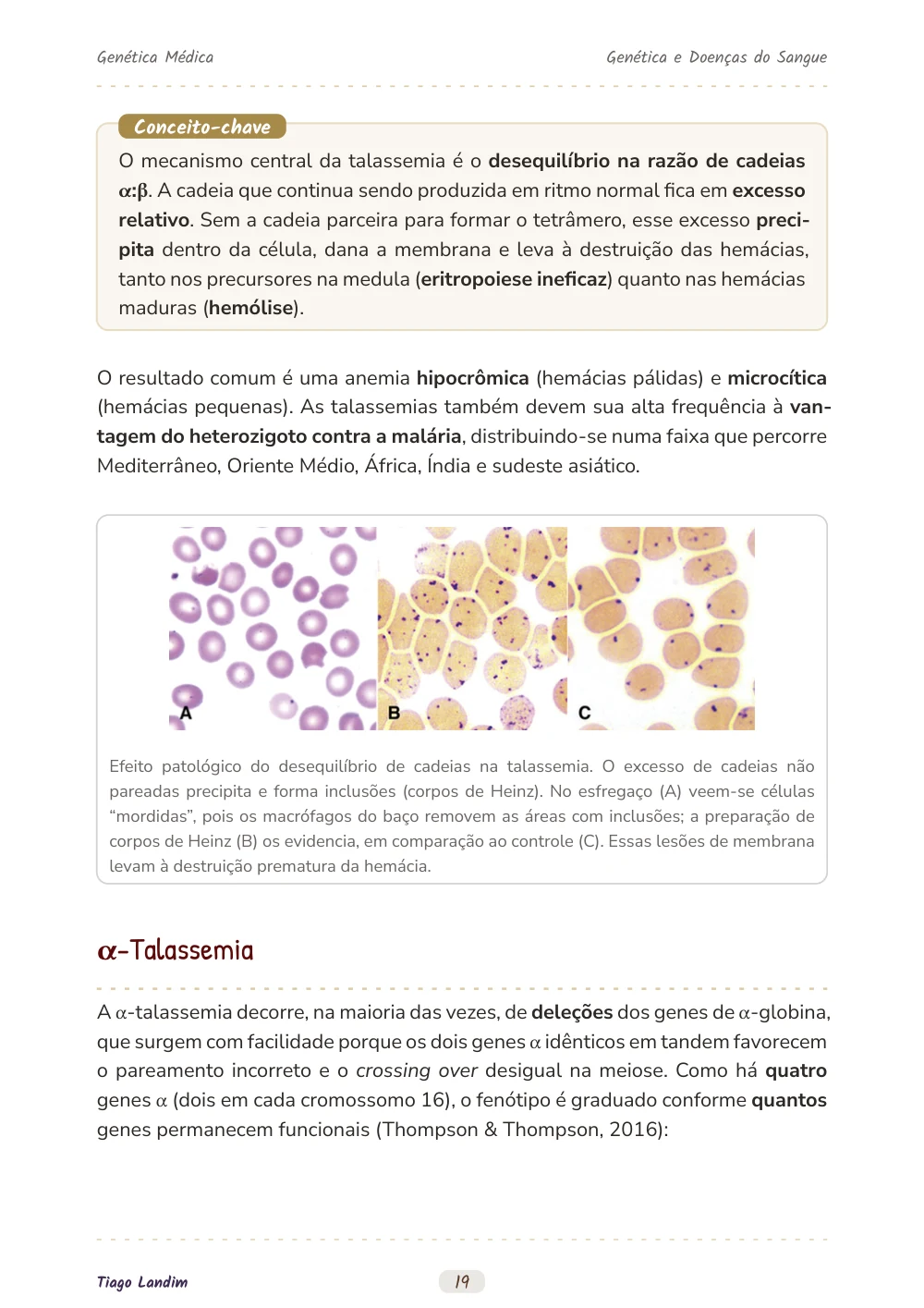 Genética e Doenças do Sangue
