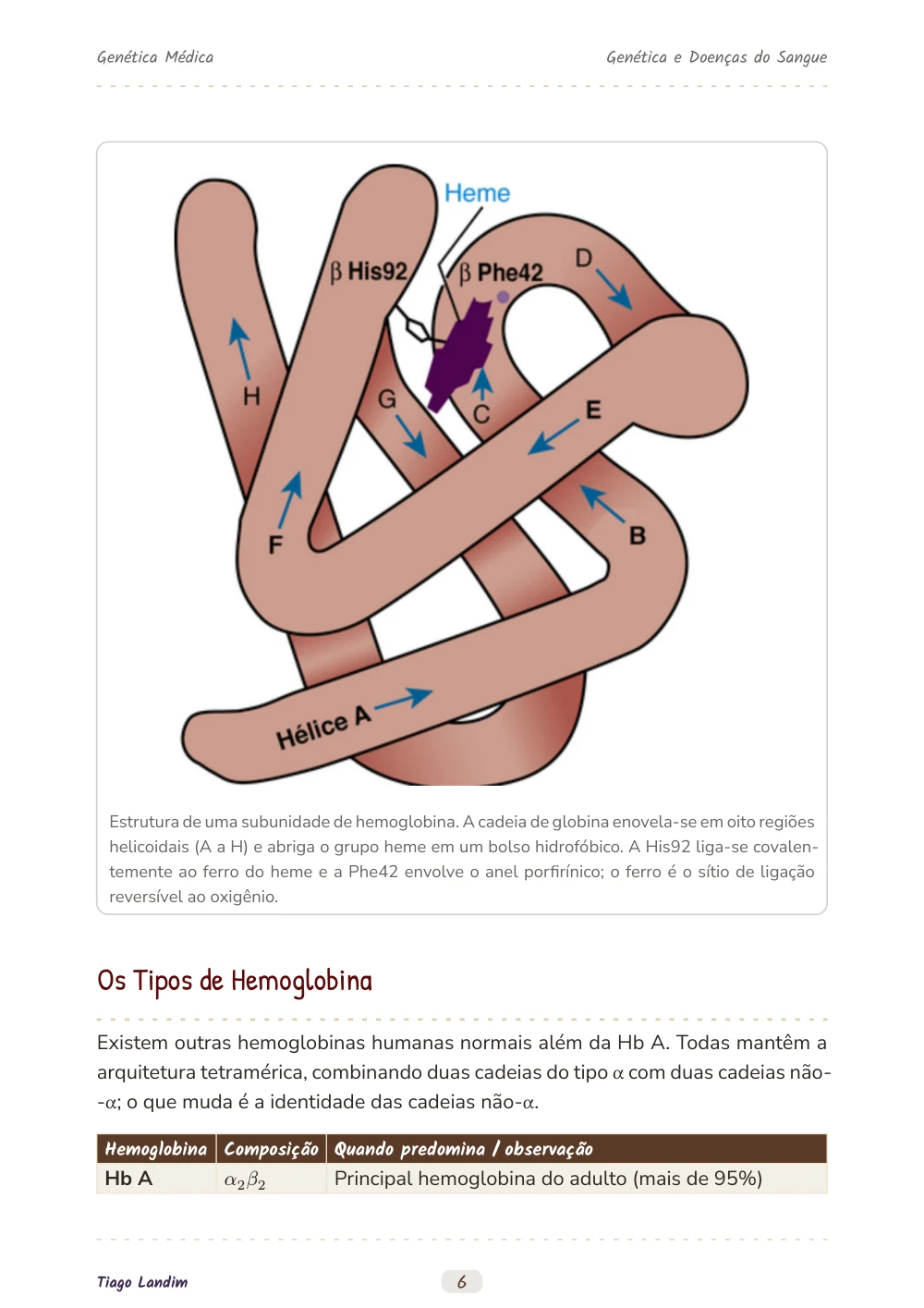 Genética e Doenças do Sangue