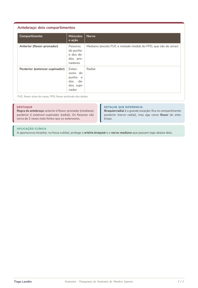 Fluxogramas - Anatomia do Membro Superior