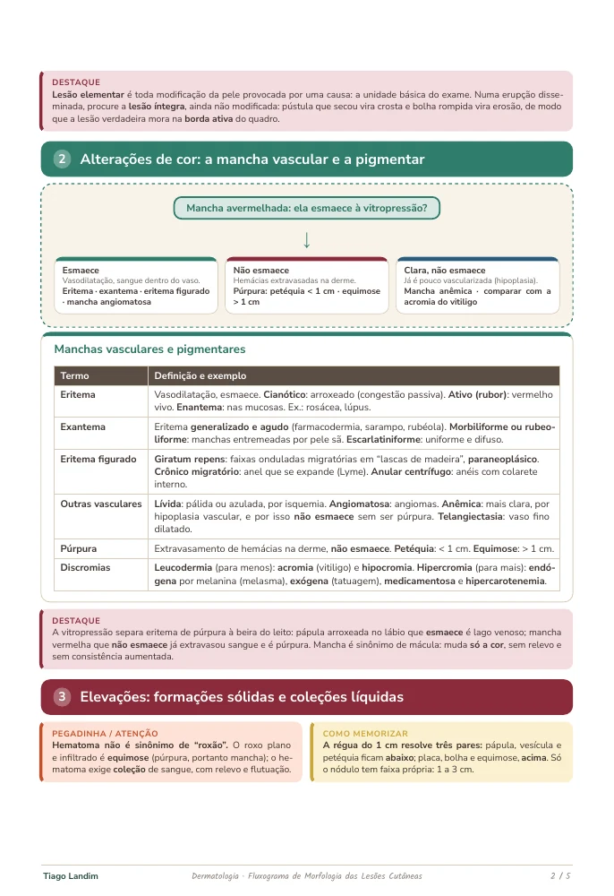 Fluxogramas - Morfologia das Lesões Cutâneas