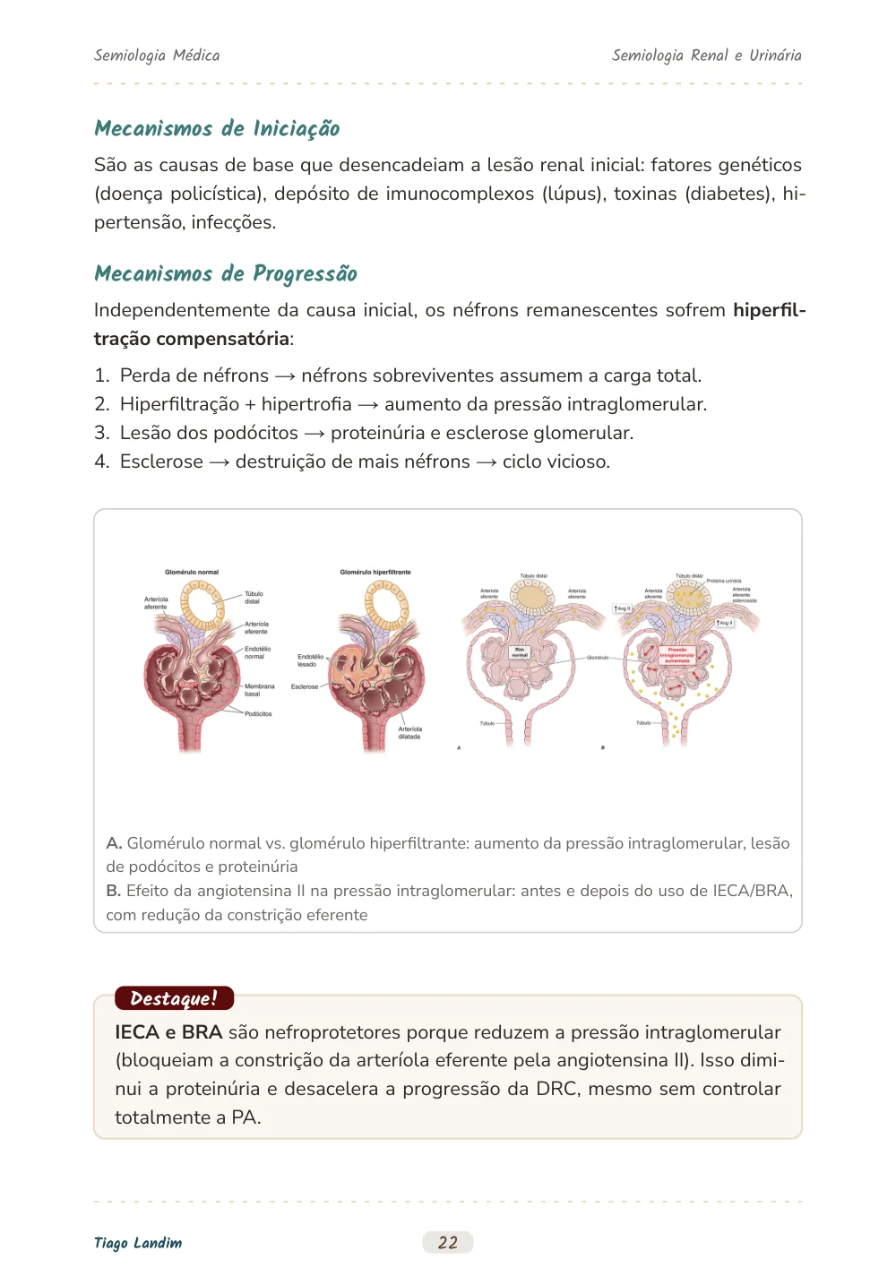 Semiologia Renal e Urinária