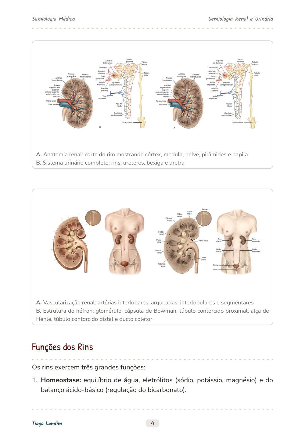 Semiologia Renal e Urinária