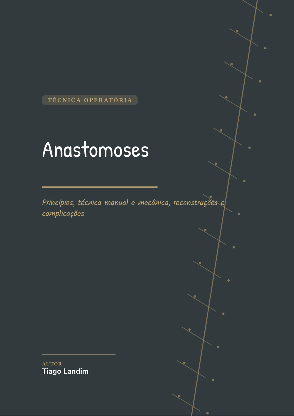 Capa de Anastomoses