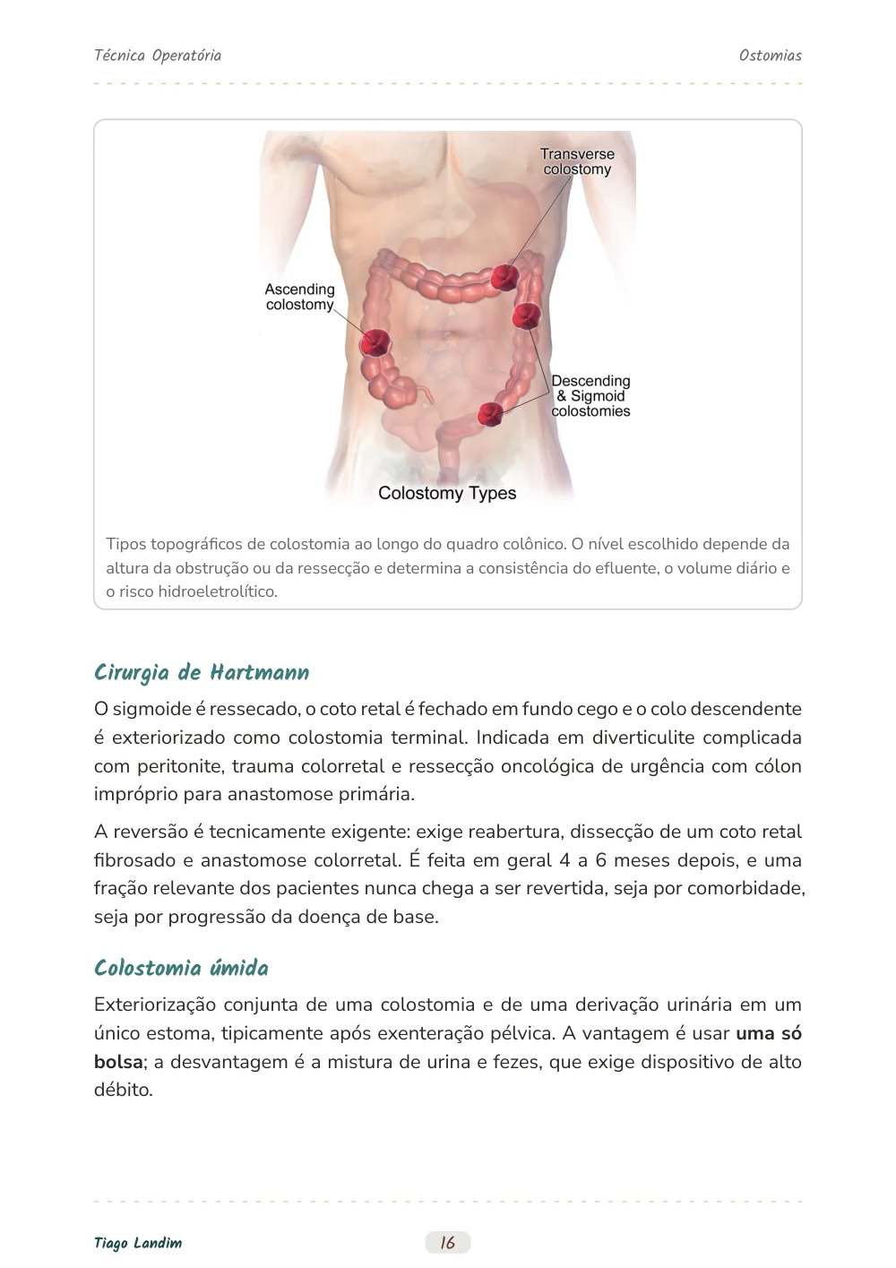 Ostomias