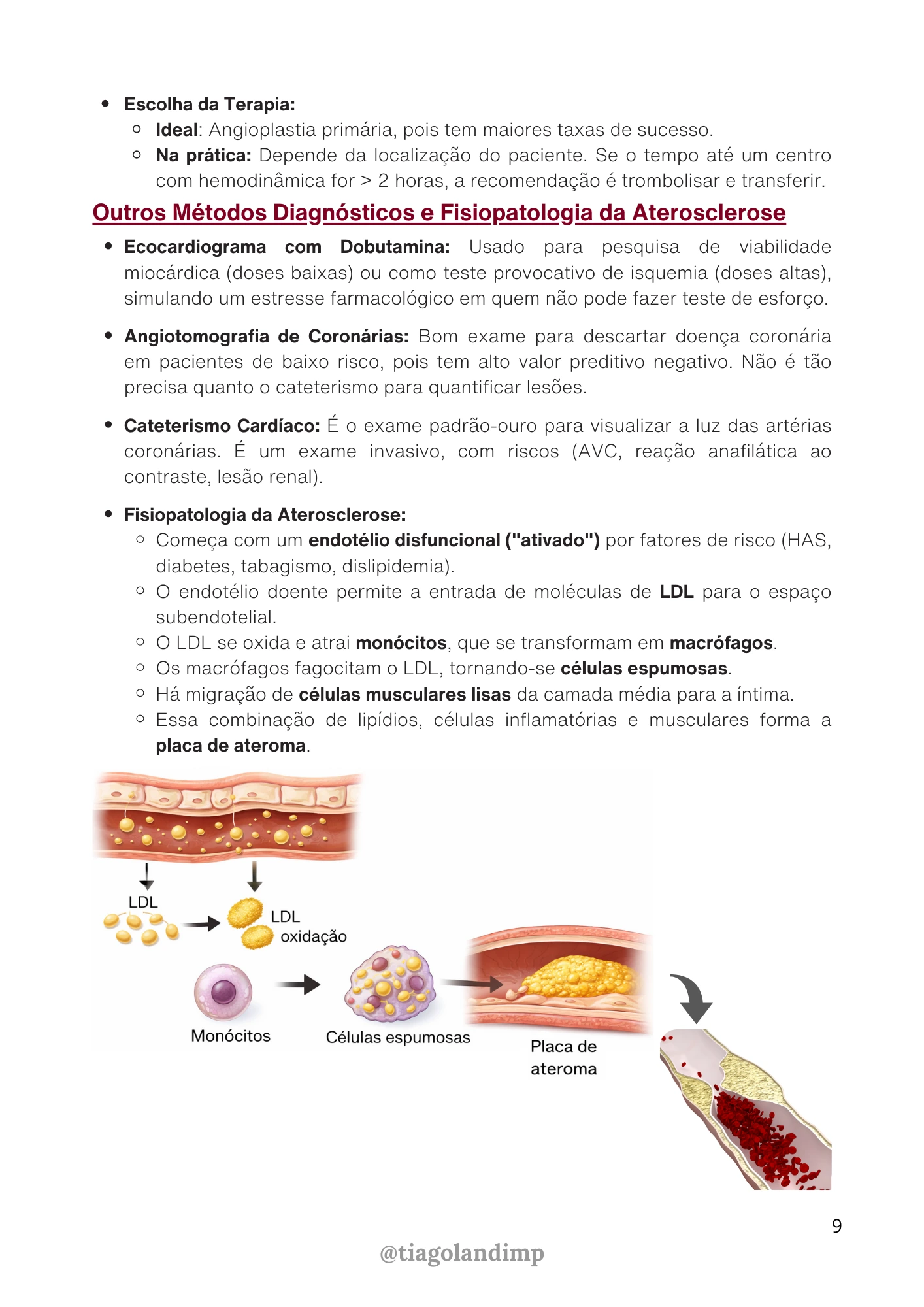 Página do material 2
