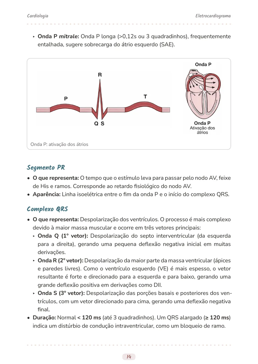 Amostra do resumo de eletrocardiograma