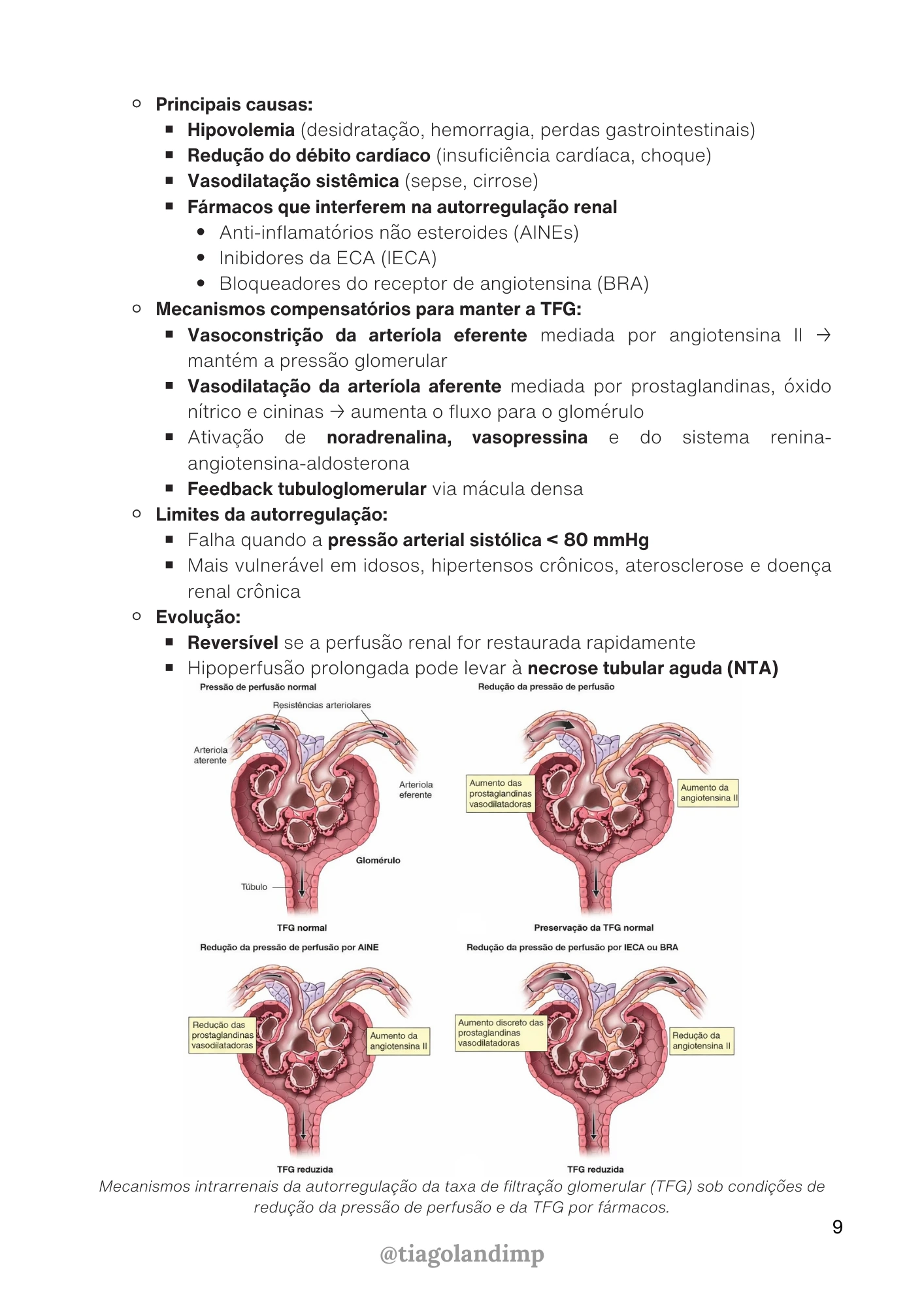 Página do material 1