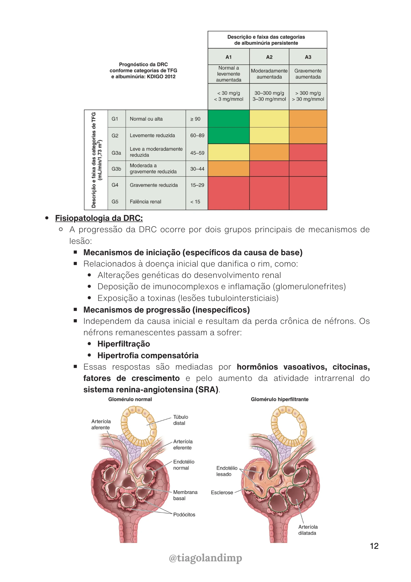 Página do material 2